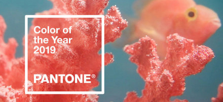 2019年最吸睛的色调，你试过了吗？
